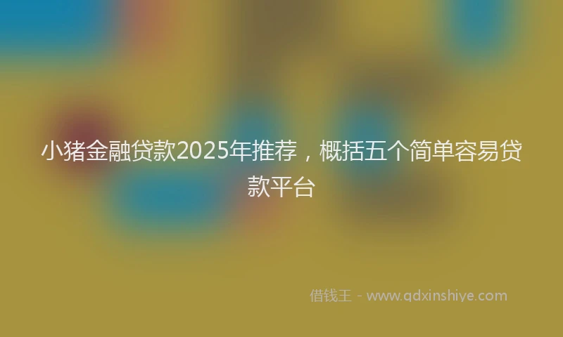 小猪金融贷款2025年推荐，概括五个简单容易贷款平台