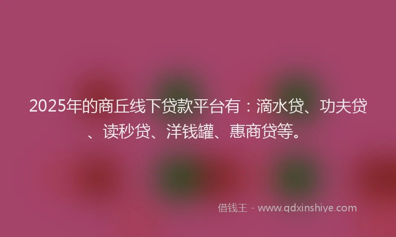 2025年的商丘线下贷款平台有：滴水贷、功夫贷、读秒贷、洋钱罐、惠商贷等。