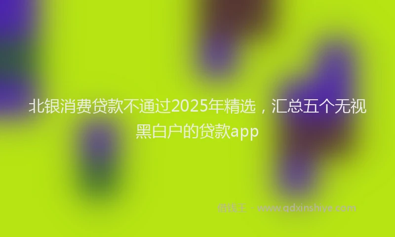 北银消费贷款不通过2025年精选，汇总五个无视黑白户的贷款app
