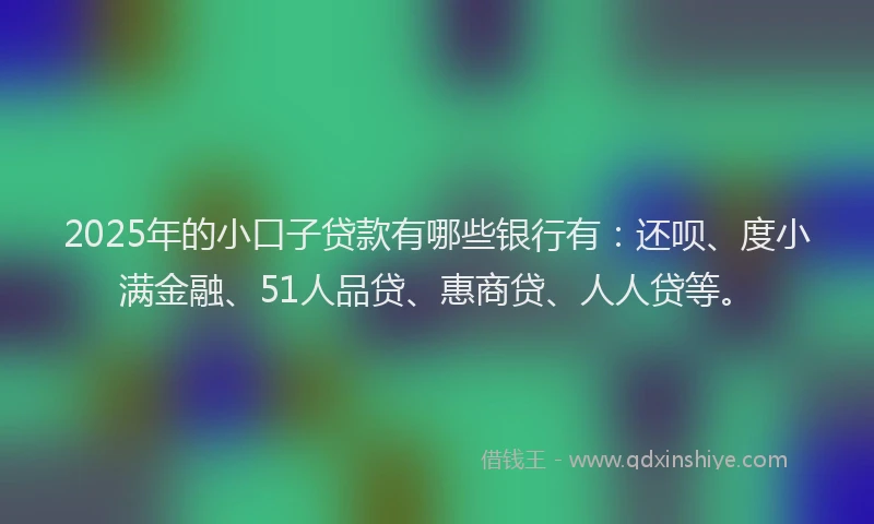 2025年的小口子贷款有哪些银行有：还呗、度小满金融、51人品贷、惠商贷、人人贷等。