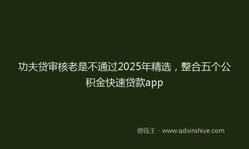 功夫贷审核老是不通过2025年精选，整合五个公积金快速贷款app