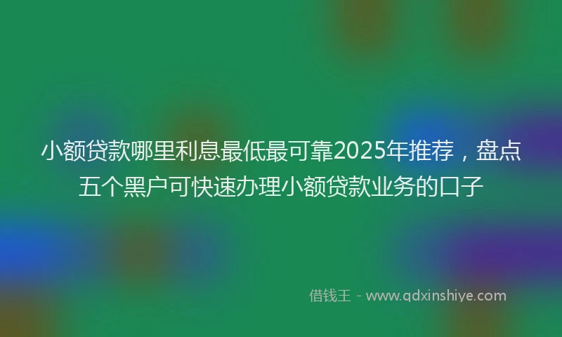 小额贷款哪里利息最低最可靠2025年推荐，盘点五个黑户可快速办理小额贷款业务的口子