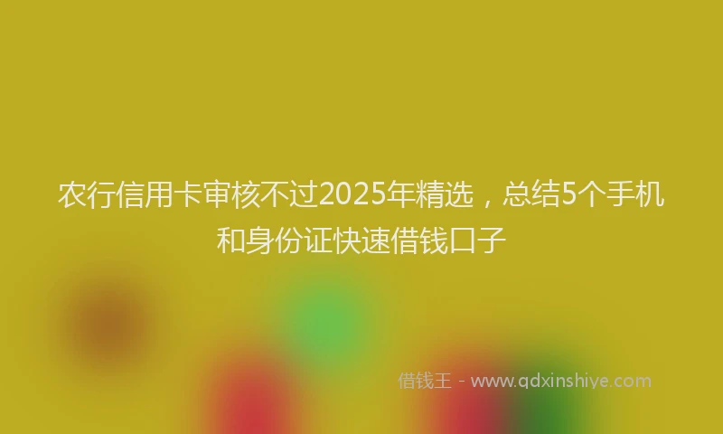 农行信用卡审核不过2025年精选，总结5个手机和身份证快速借钱口子