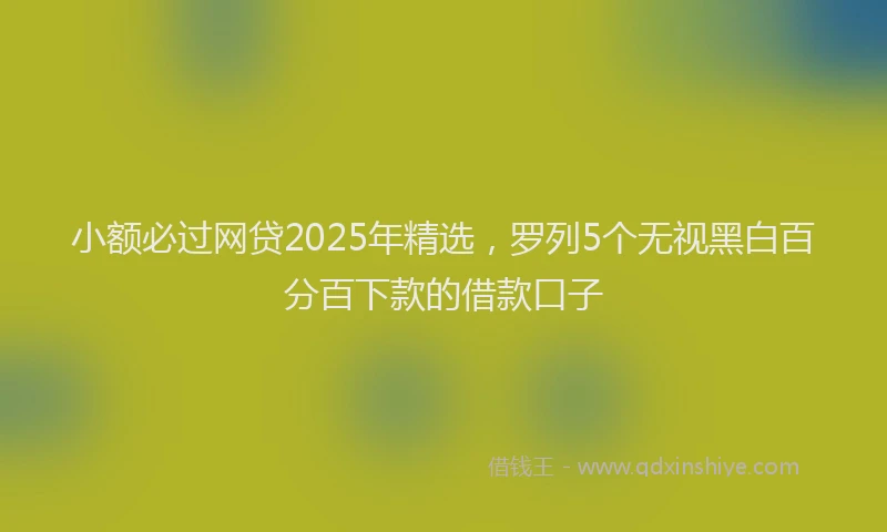 小额必过网贷2025年精选，罗列5个无视黑白百分百下款的借款口子
