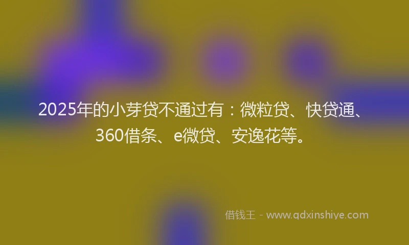 2025年的小芽贷不通过有：微粒贷、快贷通、360借条、e微贷、安逸花等。