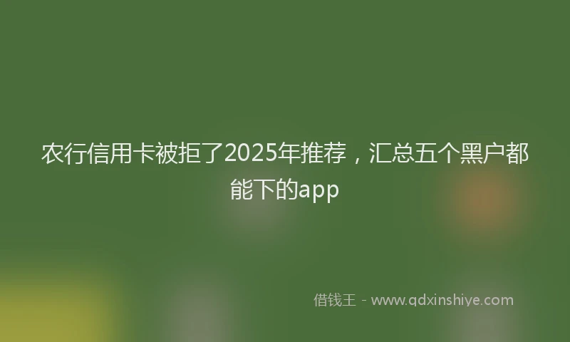 农行信用卡被拒了2025年推荐，汇总五个黑户都能下的app