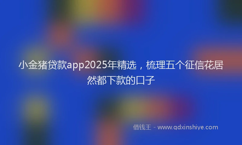 小金猪贷款app2025年精选，梳理五个征信花居然都下款的口子