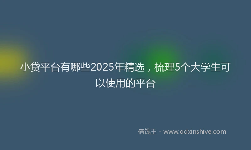 小贷平台有哪些2025年精选，梳理5个大学生可以使用的平台