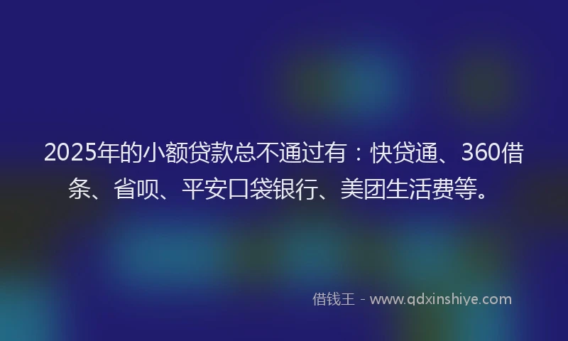 2025年的小额贷款总不通过有：快贷通、360借条、省呗、平安口袋银行、美团生活费等。
