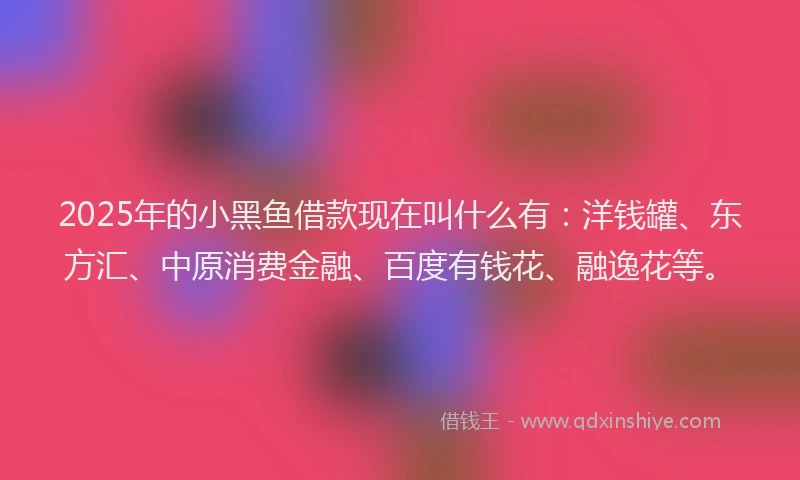 2025年的小黑鱼借款现在叫什么有：洋钱罐、东方汇、中原消费金融、百度有钱花、融逸花等。