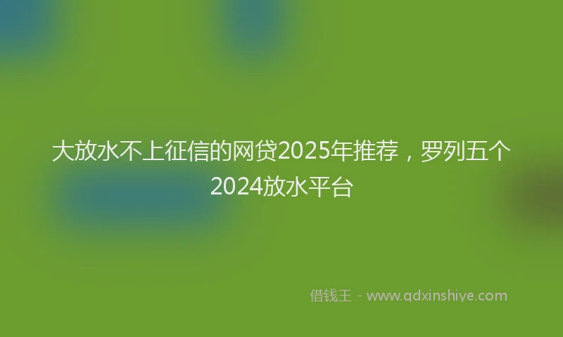大放水不上征信的网贷2025年推荐，罗列五个2024放水平台