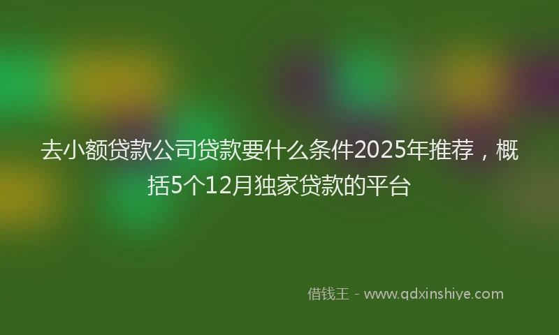 去小额贷款公司贷款要什么条件2025年推荐，概括5个12月独家贷款的平台