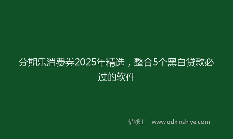 分期乐消费券2025年精选，整合5个黑白贷款必过的软件