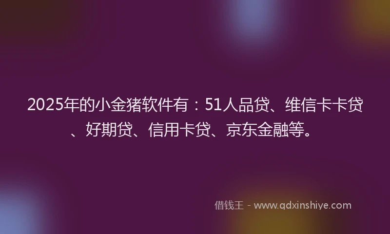 2025年的小金猪软件有：51人品贷、维信卡卡贷、好期贷、信用卡贷、京东金融等。