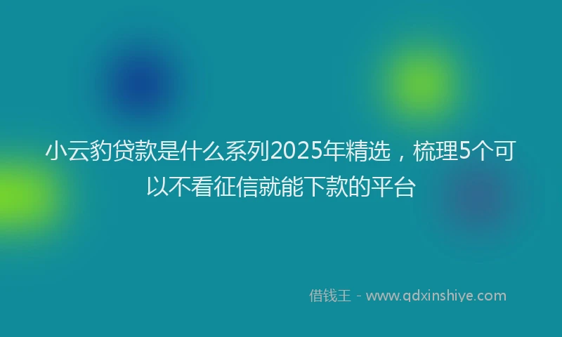 小云豹贷款是什么系列2025年精选，梳理5个可以不看征信就能下款的平台