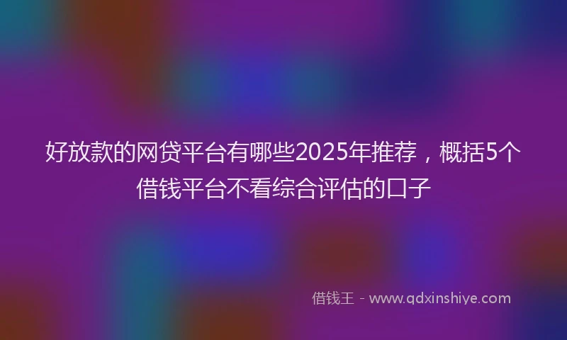 好放款的网贷平台有哪些2025年推荐，概括5个借钱平台不看综合评估的口子