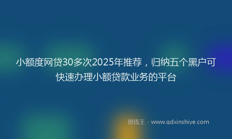 小额度网贷30多次2025年推荐，归纳五个黑户可快速办理小额贷款业务的平台