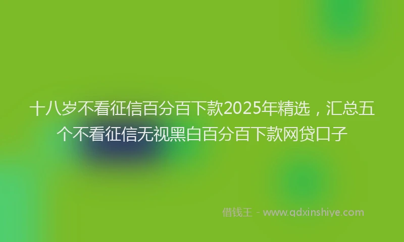 十八岁不看征信百分百下款2025年精选，汇总五个不看征信无视黑白百分百下款网贷口子