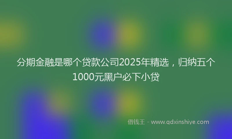 分期金融是哪个贷款公司2025年精选，归纳五个1000元黑户必下小贷