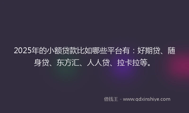 2025年的小额贷款比如哪些平台有：好期贷、随身贷、东方汇、人人贷、拉卡拉等。