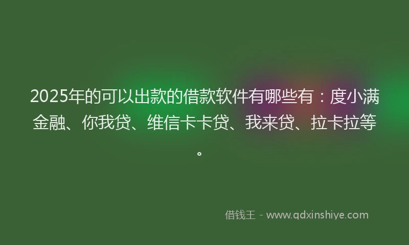 2025年的可以出款的借款软件有哪些有：度小满金融、你我贷、维信卡卡贷、我来贷、拉卡拉等。