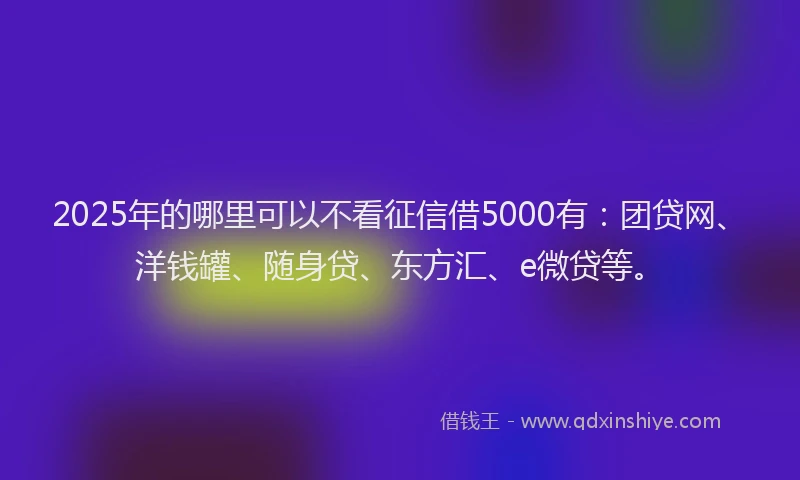 2025年的哪里可以不看征信借5000有：团贷网、洋钱罐、随身贷、东方汇、e微贷等。