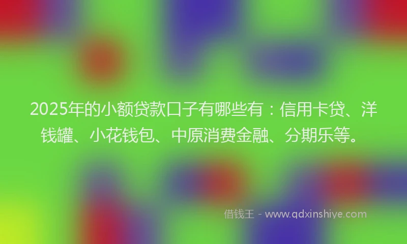 2025年的小额贷款口子有哪些有：信用卡贷、洋钱罐、小花钱包、中原消费金融、分期乐等。