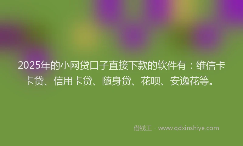 2025年的小网贷口子直接下款的软件有：维信卡卡贷、信用卡贷、随身贷、花呗、安逸花等。