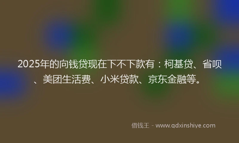 2025年的向钱贷现在下不下款有：柯基贷、省呗、美团生活费、小米贷款、京东金融等。