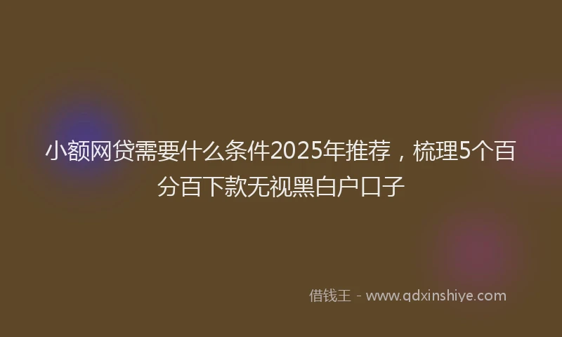 小额网贷需要什么条件2025年推荐，梳理5个百分百下款无视黑白户口子