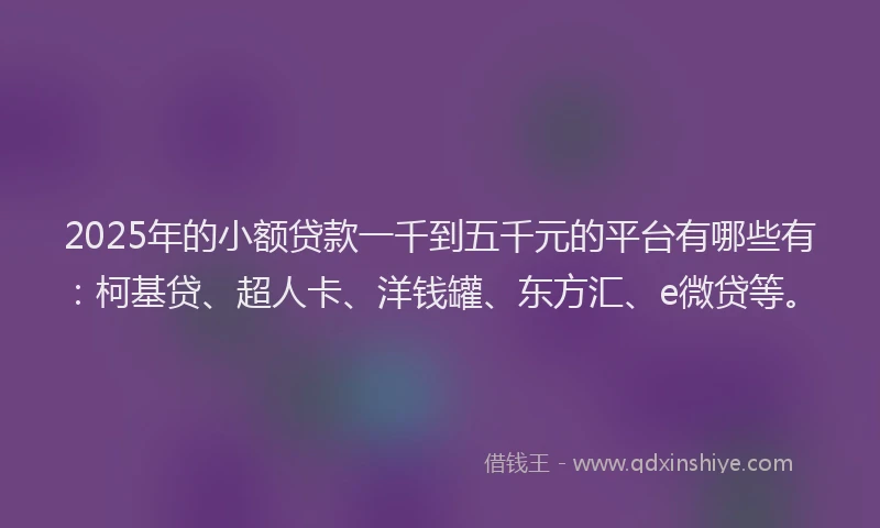 2025年的小额贷款一千到五千元的平台有哪些有：柯基贷、超人卡、洋钱罐、东方汇、e微贷等。