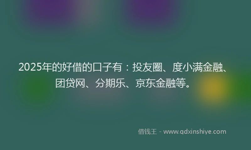 2025年的好借的口子有：投友圈、度小满金融、团贷网、分期乐、京东金融等。