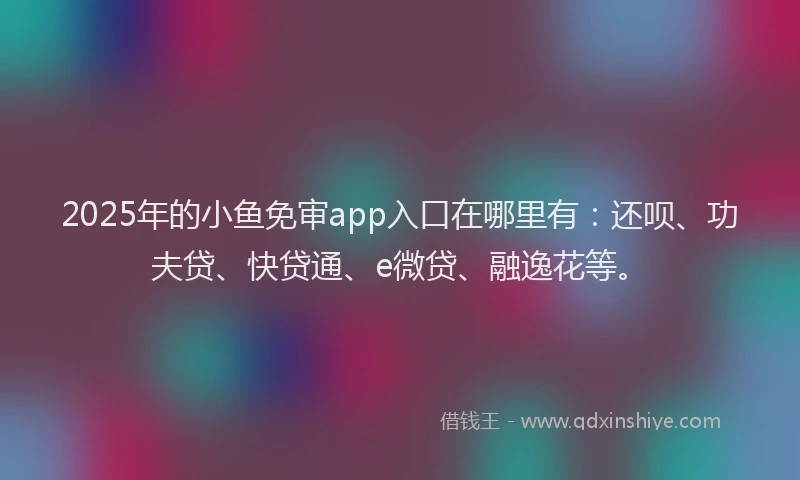 2025年的小鱼免审app入口在哪里有：还呗、功夫贷、快贷通、e微贷、融逸花等。