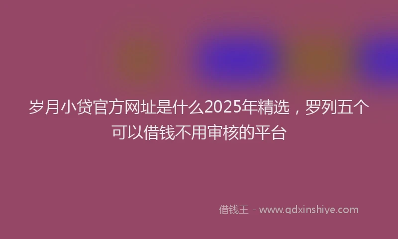 岁月小贷官方网址是什么2025年精选，罗列五个可以借钱不用审核的平台