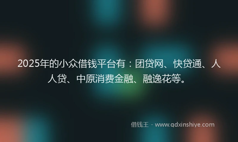 2025年的小众借钱平台有：团贷网、快贷通、人人贷、中原消费金融、融逸花等。
