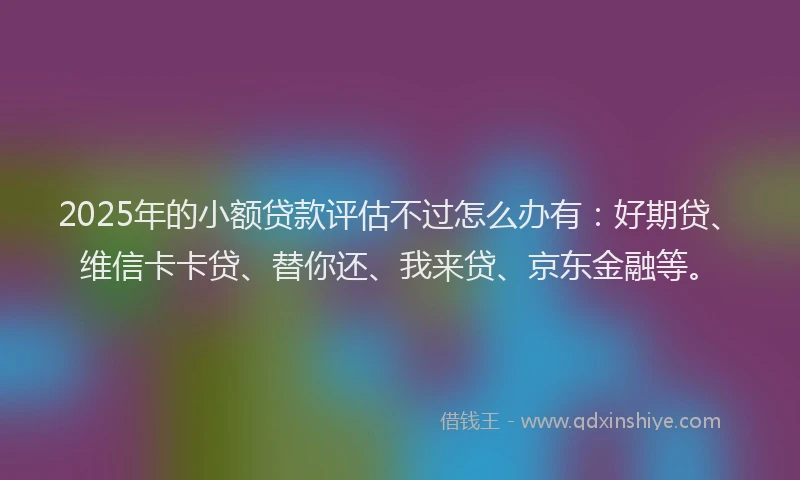 2025年的小额贷款评估不过怎么办有：好期贷、维信卡卡贷、替你还、我来贷、京东金融等。