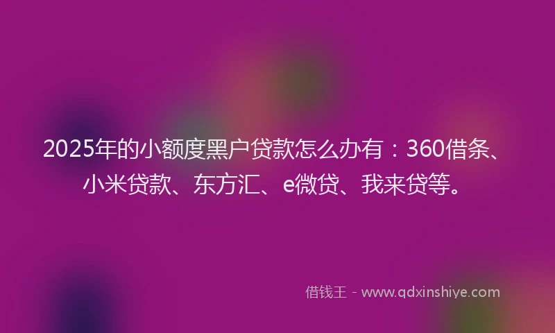 2025年的小额度黑户贷款怎么办有：360借条、小米贷款、东方汇、e微贷、我来贷等。