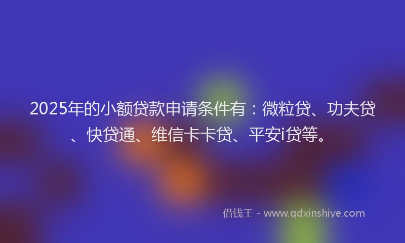 2025年的小额贷款申请条件有：微粒贷、功夫贷、快贷通、维信卡卡贷、平安i贷等。