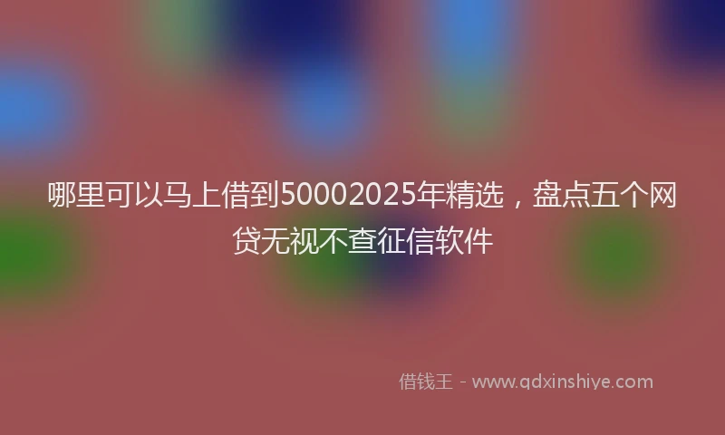 哪里可以马上借到50002025年精选，盘点五个网贷无视不查征信软件