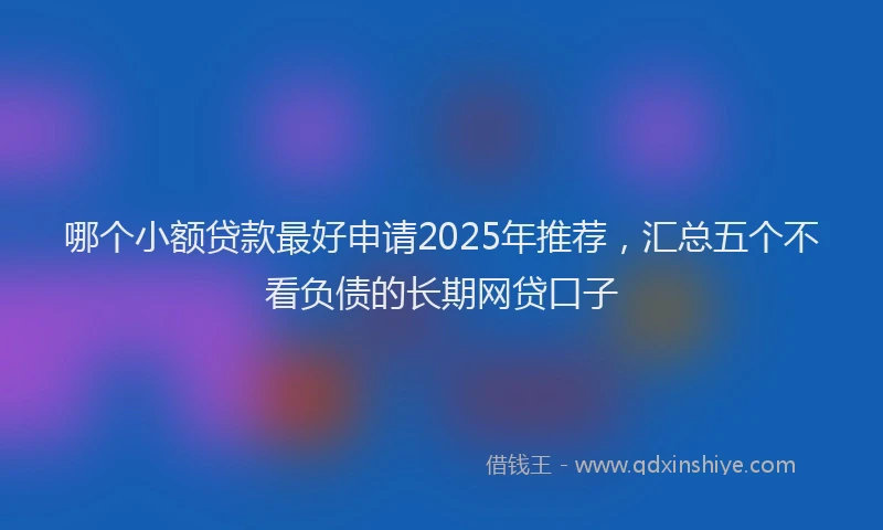 哪个小额贷款最好申请2025年推荐，汇总五个不看负债的长期网贷口子