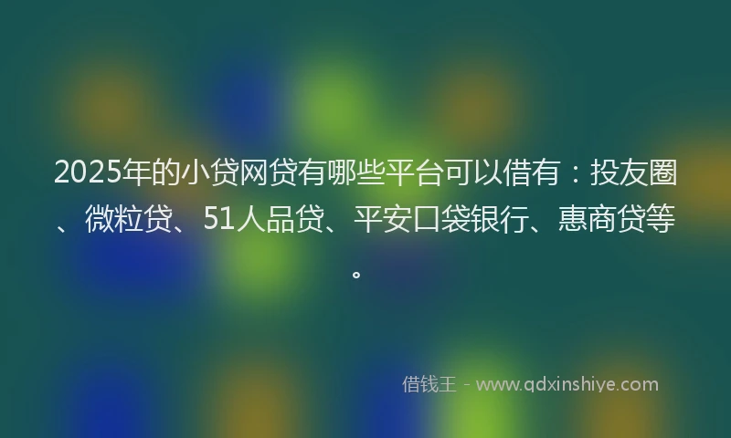 2025年的小贷网贷有哪些平台可以借有：投友圈、微粒贷、51人品贷、平安口袋银行、惠商贷等。