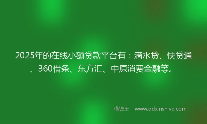 2025年的在线小额贷款平台有：滴水贷、快贷通、360借条、东方汇、中原消费金融等。