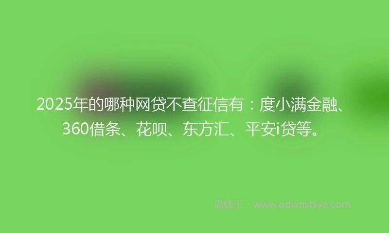 2025年的哪种网贷不查征信有：度小满金融、360借条、花呗、东方汇、平安i贷等。