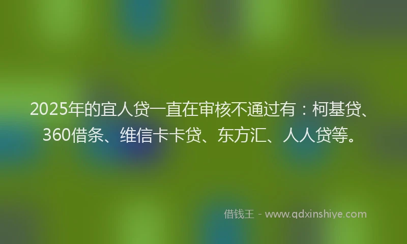 2025年的宜人贷一直在审核不通过有：柯基贷、360借条、维信卡卡贷、东方汇、人人贷等。