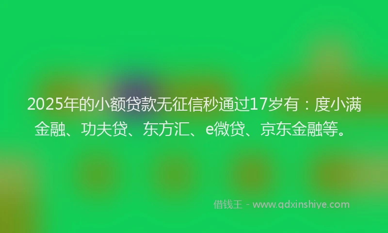 2025年的小额贷款无征信秒通过17岁有：度小满金融、功夫贷、东方汇、e微贷、京东金融等。
