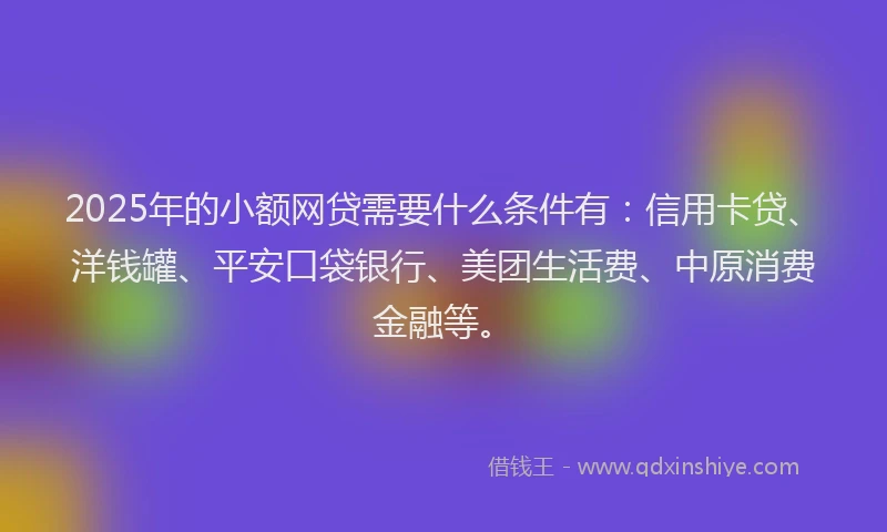 2025年的小额网贷需要什么条件有：信用卡贷、洋钱罐、平安口袋银行、美团生活费、中原消费金融等。