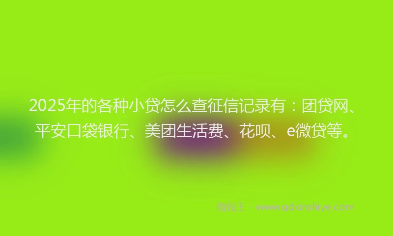 2025年的各种小贷怎么查征信记录有：团贷网、平安口袋银行、美团生活费、花呗、e微贷等。
