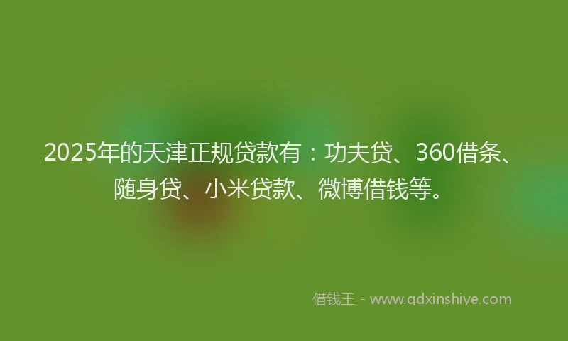 2025年的天津正规贷款有：功夫贷、360借条、随身贷、小米贷款、微博借钱等。