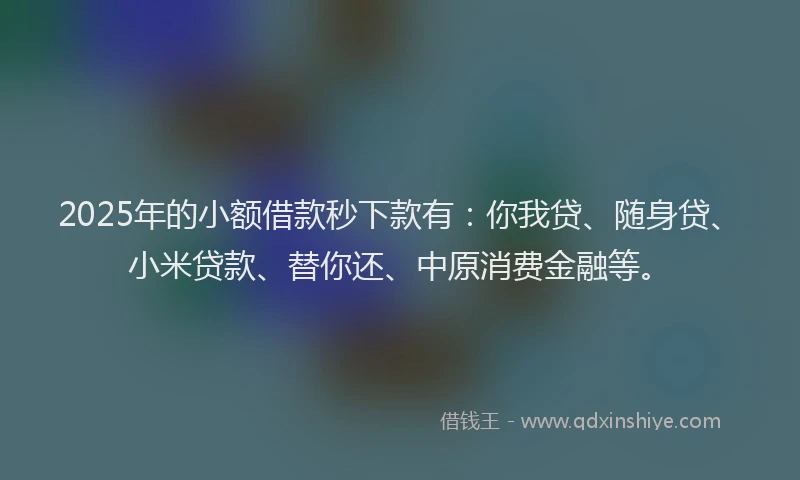 2025年的小额借款秒下款有：你我贷、随身贷、小米贷款、替你还、中原消费金融等。