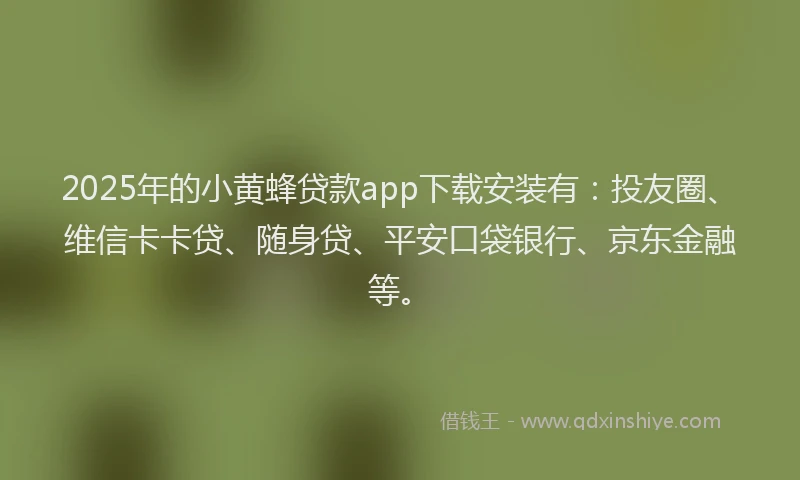 2025年的小黄蜂贷款app下载安装有：投友圈、维信卡卡贷、随身贷、平安口袋银行、京东金融等。